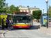 Buss nr 260