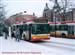 Buss nr 259