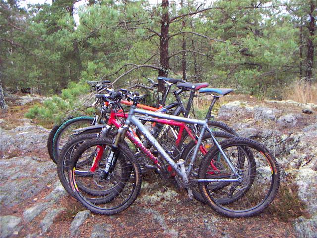 Bild nr 9 (pict1180.jpg)