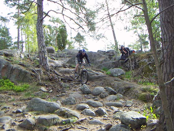 Bild nr 41 (pict1950.jpg)