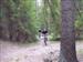 Bild nr 27