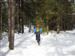 Bild nr 5